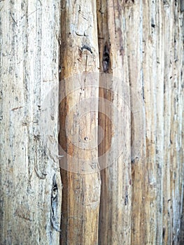 Old timber made into a wall wallpaper