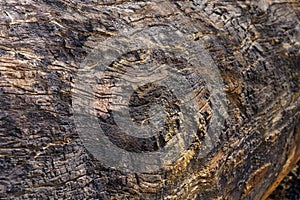 Old timber textures have burn marks and cracks