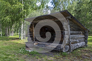 Old timbered wooden windbreak