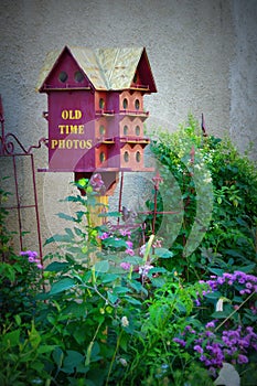 Birdhouse & Garden