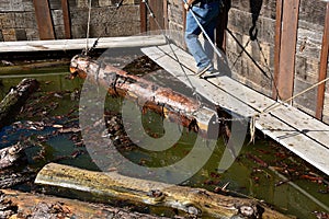 Old time winching of logs out of the water on the way to a sawmill