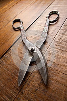 Old Tin Snips