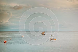 old tipe hand made boats near the shore in Stone Town Zanzibar