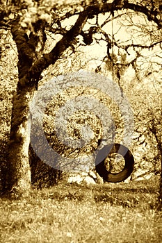 Old Tire Swing Sepia