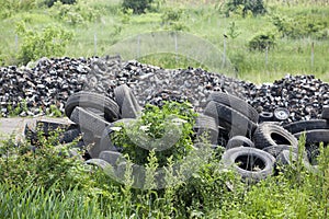 Old tires in the nature