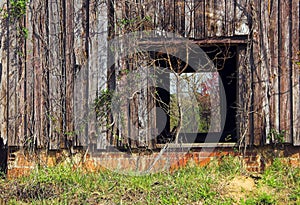 Old Tobacco Barn