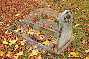 Old tombstone and autumn leaves