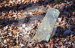 Old Tombstone in Autumn Leaves