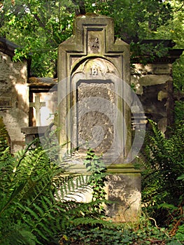 Old tombstone with missing names overgrown with ferns