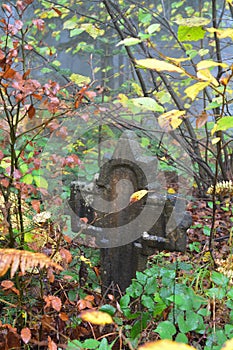 Old tombstone in the misty forest