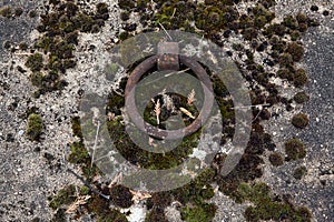 Old tombstone ring at the abandoned cemetery.