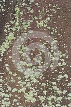 Old Tombstone Texture