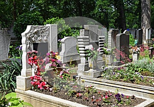 Old tombstones in the cemetery