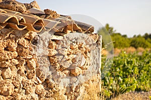 Old toolhouse next to vineyard in summer