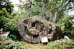 Old torajan burial site in Bori, Tana Toraja. The cemetery with coffins placed in a huge stone. Indonesia, Rantapao, Sulawesi