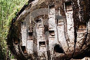 Old torajan burial site in Bori, Tana Toraja. The cemetery with coffins placed in a huge stone. Indonesia, Sulawesi, Rantepao