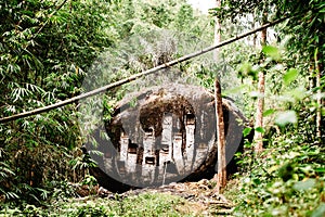 Old torajan burial site in Bori, Tana Toraja. The cemetery with coffins placed in a huge rock. Rantapao, Sulawesi, Indonesia photo