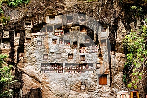 Old torajan burial site in Lemo, Tana Toraja. The cemetery with coffins placed in caves. Rantapao, Sulawesi, Indonesia