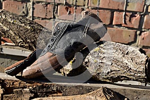 An old torn sneaker lies on the wood.