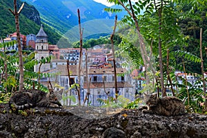 The old town of Campagna. photo