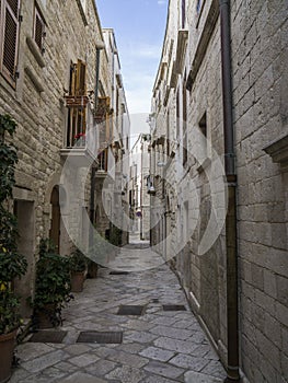 Old town Molfetta