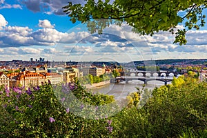 Old town of Prague. Czech Republic over river Vltava with Charles Bridge on skyline. Prague panorama landscape view with red roofs