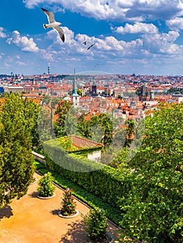 Old town of Prague. Czech Republic over river Vltava with Charles Bridge on skyline. Prague panorama landscape view with red roofs