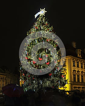 Old Town Square at Christmas time, Prague, Czech Republic