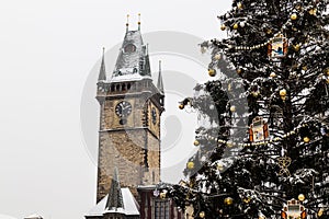 Old Town Square Clock Tower and the Christmas Tree