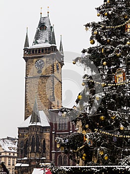 Old Town Square Clock Tower and the Christmas Tree