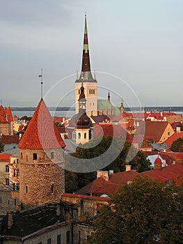 Rooftops of the old town of Tallinn