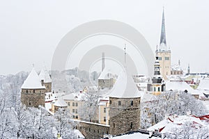 Old town. Tallinn, Estonia photo