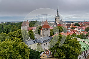 Old town of Tallinn in summer view from Patkuli Viewing Platform