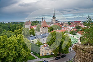 Old town of Tallinn in summer view from Patkuli Viewing Platform