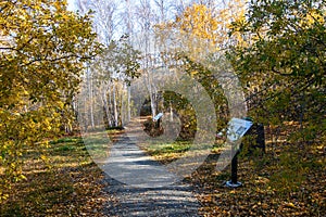 Old Town Yellowknife Trail