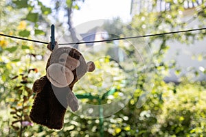 an old toy monkey hanging on a drying line