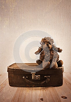 Old toy on a small road suitcase.