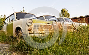 Old Trabant in a meadow