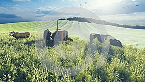 Old tractor and cows near the field in the early bright morning. Agriculture and environment. 3D Rendering