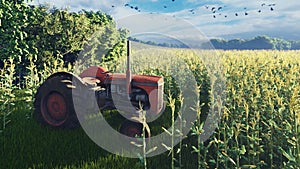An old tractor stands near a corn field early in the morning. Agriculture and environment. 3D Rendering