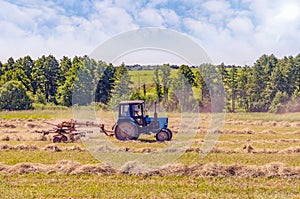 An old tractor turns over the mowed hay on a summer morning for better drying in cloudy weather. Fodder for cows for winter