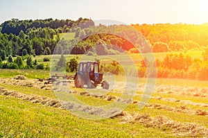 An old tractor turns over the mowed hay on a Sunny summer morning for better drying. Fodder for cows for the winter