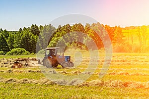 An old tractor turns over the mowed hay on a Sunny summer morning for better drying. Fodder for cows for the winter