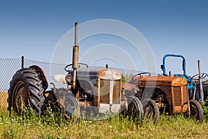 Old tractors standing on the field photo