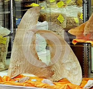 Old Tradition Culture China Macau Street Shark Fin Shop Chinese Dried Fish Maw Cuisine Delicacy Authentic Ethnic Food Seafood