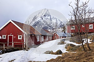 Old traditional fisherman`s house  called Rorbu at reine in Lofoten  islands. Norway.