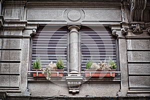 Old traditional italian windows with plants and shades down