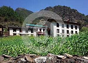 Old traditional nepali houses and corn field in Junbesi sherpa village photo