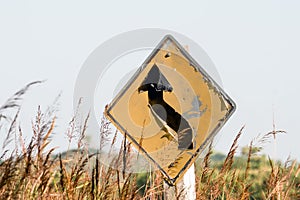 Old traffic sign