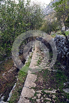 Old trail in the mountains forest